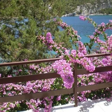 Studio In Pokrivenik Insel Hvar 36354 Apartman *