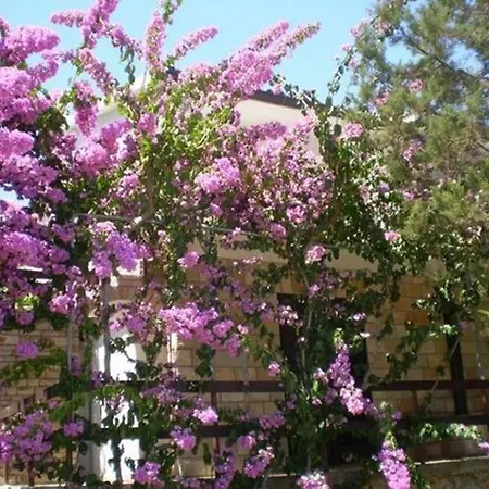 Studio In Pokrivenik Insel Hvar 36354 Jelsa (Hvar)